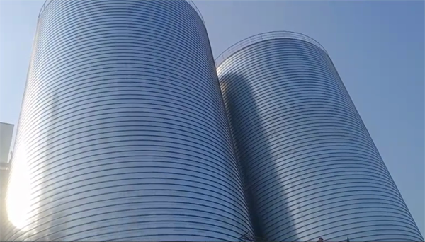 纳溪2座混凝土高架卷板仓